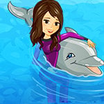 My Dolphin Show