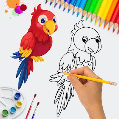 Parrot Coloring Book