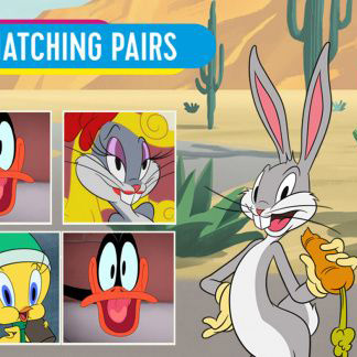 Looney Tunes Cartoons Matching Pairs