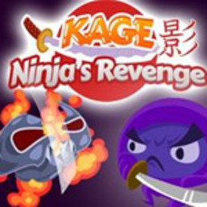 Kage Ninja's Revenge