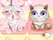 Jewels 2