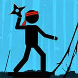 The Last ninja